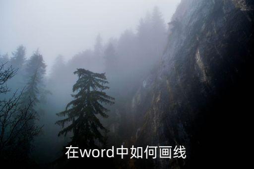 word畫線，如何在word中劃線