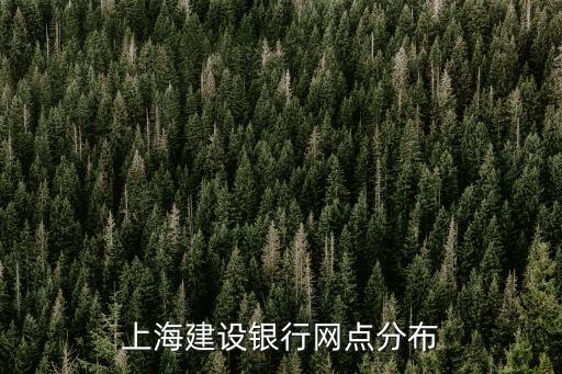 建設(shè)銀行上海市吳中路支行，上海市閔行區(qū)建設(shè)銀行吳中路分行禮拜天上班嗎