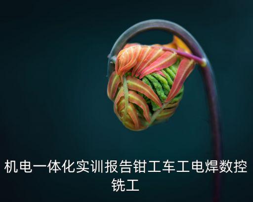 機電一體化實訓報告鉗工車工電焊數控銑工