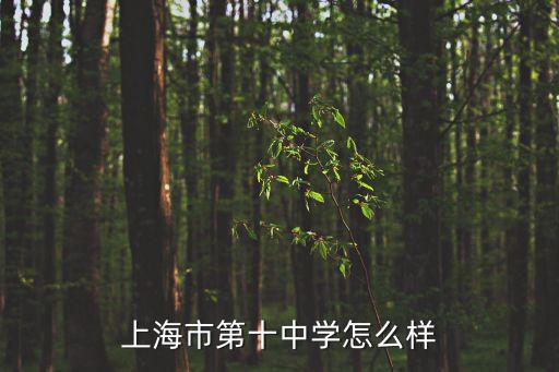 上海市第10中學，上海市第十中學好不好