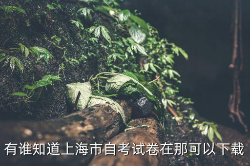 上海市自考真題，上海室內設計自學考試 試卷有沒人知道 在哪里可以找到啊