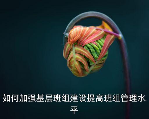 如何加強基層班組建設提高班組管理水平