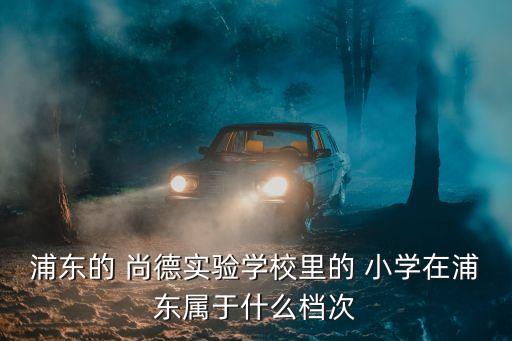 浦東的 尚德實驗學校里的 小學在浦東屬于什么檔次
