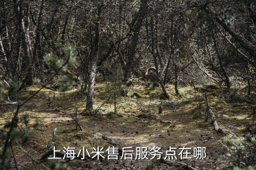 上海市小米手機售后服務地址查詢，上海小米售后服務點在哪