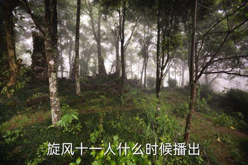 旋風十一人電視劇，旋風十一人娜扎飾演什么角色第幾集出場