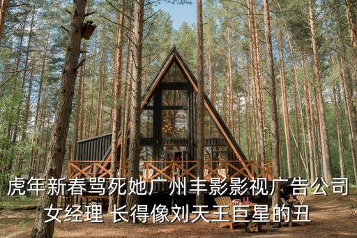田小野廣州大塘，虎年新春罵死她廣州豐影影視廣告公司女經(jīng)理 長得像劉天王巨星的丑