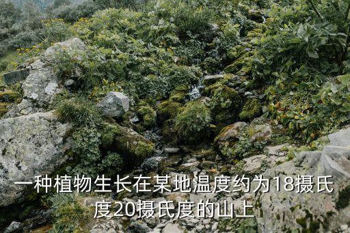 上升新所，一種植物生長在某地溫度約為18攝氏度20攝氏度的山上