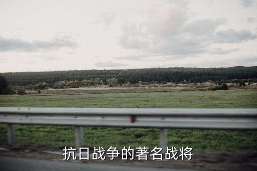 抗日將領(lǐng)，國(guó)共抗日名將
