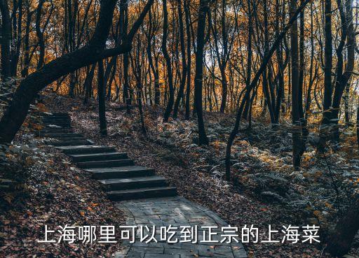 上海哪里可以吃到正宗的上海菜