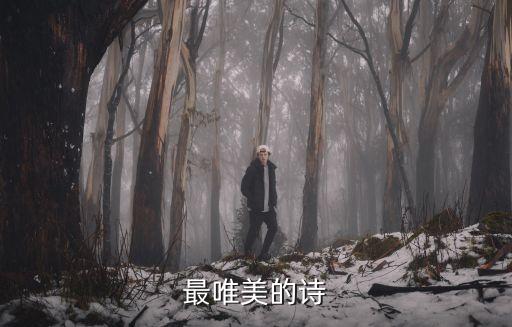 唯美的詩句，最唯美的詩