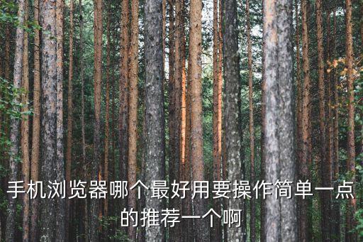手機瀏覽器排行榜，手機什么瀏覽器最好