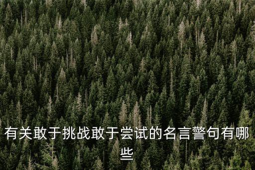 有關(guān)敢于挑戰(zhàn)敢于嘗試的名言警句有哪些