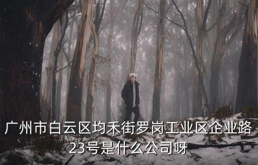 廣州市白云區均禾街羅崗工業區企業路23號是什么公司呀