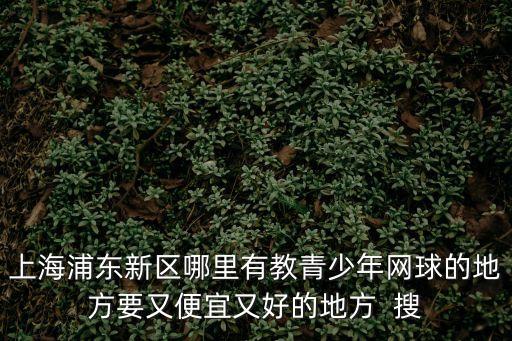 上海浦東新區哪里有教青少年網球的地方要又便宜又好的地方  搜