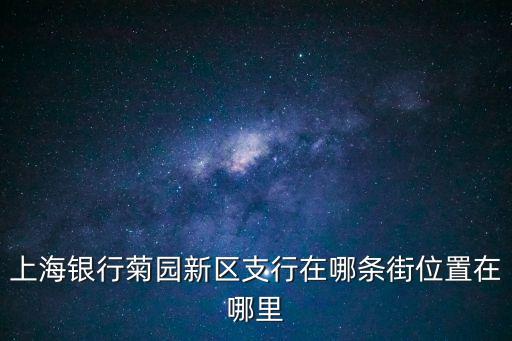 上海市新區支行，上海銀行菊園新區支行在哪條街位置在哪里