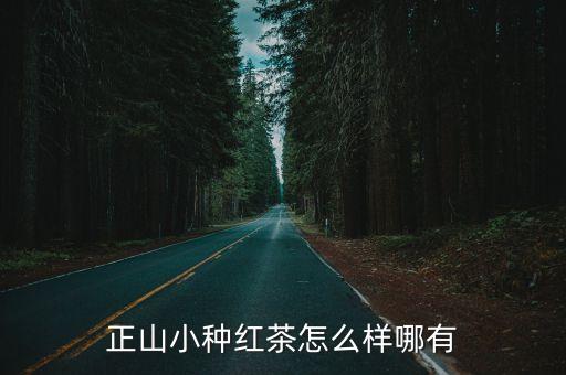 正山小種紅茶怎么樣哪有