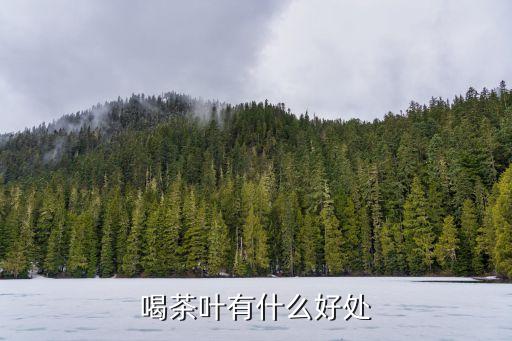茶葉好處，喝茶有什么好處