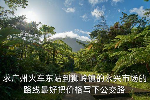 求廣州火車東站到獅嶺鎮(zhèn)的永興市場的路線最好把價格寫下公交路