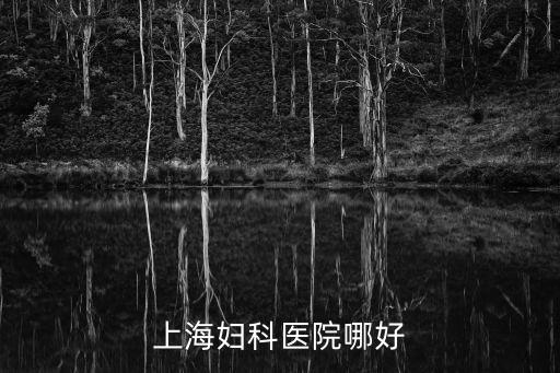 上海市婦產科醫院 吳越，上海市婦科醫院