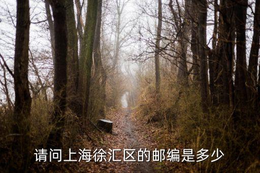 請問上海徐匯區的郵編是多少