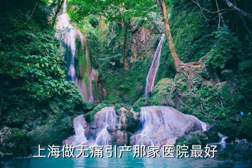 上海市無痛引產(chǎn)醫(yī)院，上海較好的無痛引產(chǎn)醫(yī)院是哪家