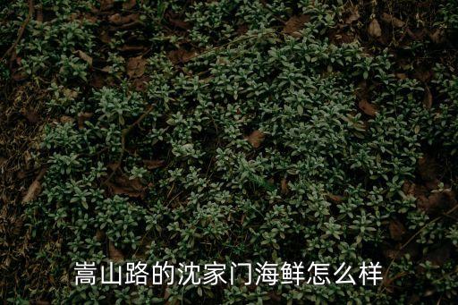 沈家門海鮮，嵩山路的沈家門海鮮怎么樣