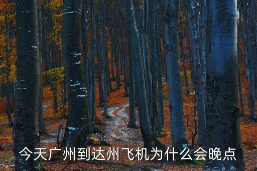 今天廣州到達(dá)州飛機(jī)為什么會(huì)晚點(diǎn)