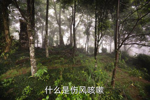 傷風咳嗽，什么是傷風咳嗽