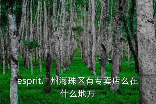 esprit廣州海珠區(qū)有專賣店么在什么地方