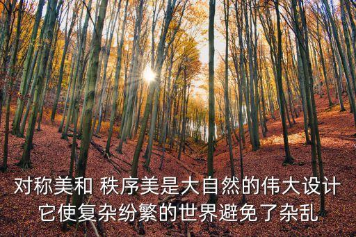 秩序美，對(duì)稱美和 秩序美是大自然的偉大設(shè)計(jì)它使復(fù)雜紛繁的世界避免了雜亂