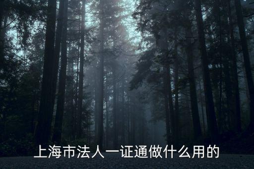 上海市法人一證通做什么用的