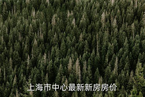 上海市中心最新新房房價(jià)