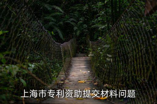 上海市專利資助提交材料問題