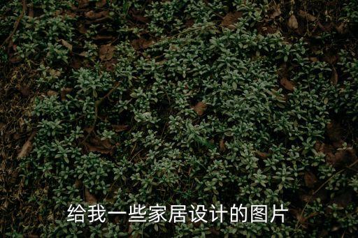 家居設計圖，給我一些家居設計的圖片