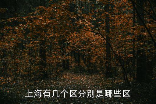 上海市區(qū)劃分區(qū)域，上海市都有哪些轄區(qū)
