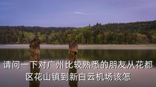 請問一下對廣州比較熟悉的朋友從花都區花山鎮到新白云機場該怎