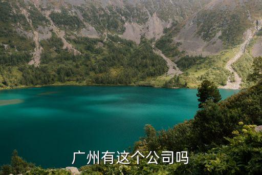 廣州佳實貿(mào)易公司簡介，廣州有這個公司嗎
