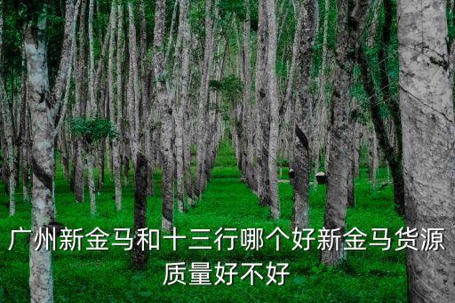 廣州新金馬和十三行哪個好新金馬貨源質量好不好