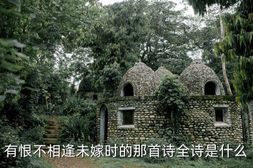 節婦吟，有恨不相逢未嫁時的那首詩全詩是什么