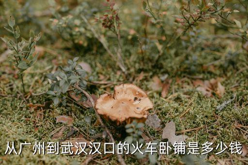 從廣州到武漢漢口的火車臥鋪是多少錢