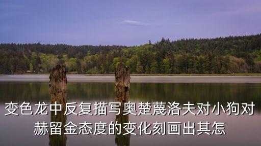 變色龍中反復(fù)描寫奧楚蔑洛夫?qū)π」穼?duì)赫留金態(tài)度的變化刻畫出其怎