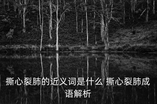 撕心裂肺的近義詞，撕心裂肺的近義詞