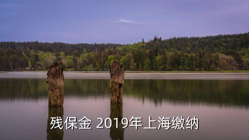 上海市殘保金按照什么比例征收，上海市殘疾人就業保障金的基數怎么計算