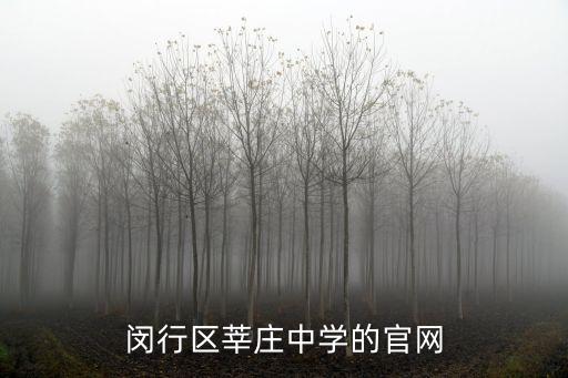 上海市莘莊中學吧，閔行區莘莊中學的官網