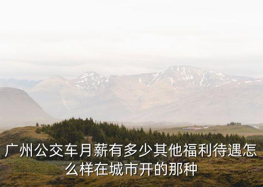 廣州公交車(chē)月薪有多少其他福利待遇怎么樣在城市開(kāi)的那種