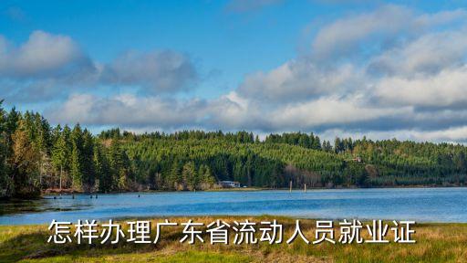 怎樣辦理廣東省流動(dòng)人員就業(yè)證