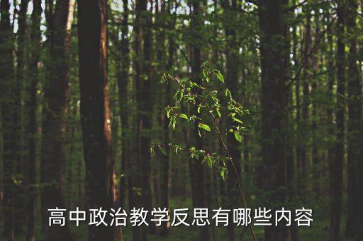 高中政治教學反思，求高二政治2200字反思