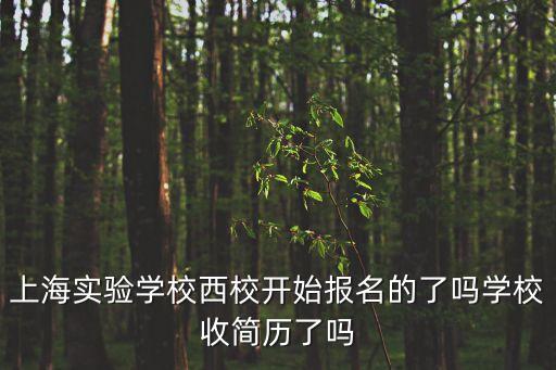 上海實(shí)驗(yàn)學(xué)校西校開始報(bào)名的了嗎學(xué)校收簡歷了嗎