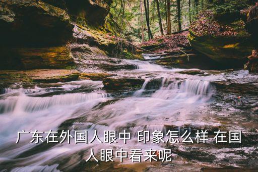 外國人評(píng)論廣州天河，廣東在外國人眼中 印象怎么樣 在國人眼中看來呢