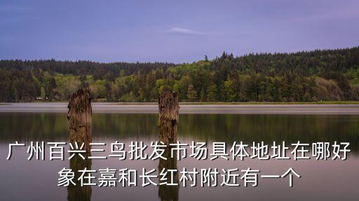 廣州三鳥市場賣雞鴨，廣州百興三鳥批發市場具體地址在哪好象在嘉和長紅村附近有一個